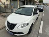 LANCIA Ypsilon 1.2 69 CV 5 porte GPL Ecochic Elefantino