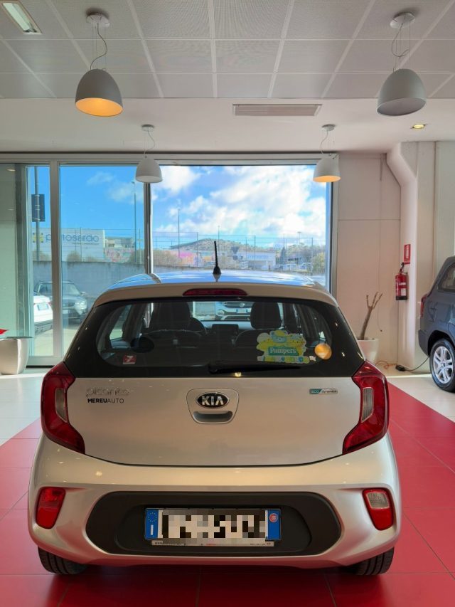 KIA Picanto 1.0 12V 5 porte Active Immagine 2