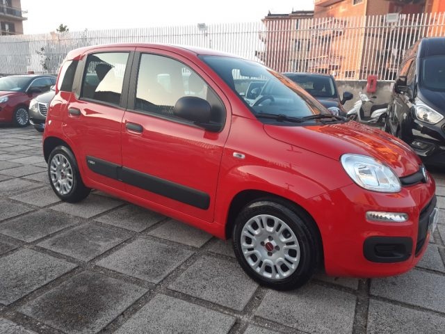 FIAT Panda 1.0 FireFly S&S Hybrid Immagine 2