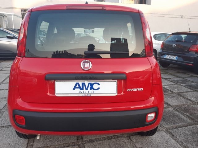 FIAT Panda 1.0 FireFly S&S Hybrid Immagine 3