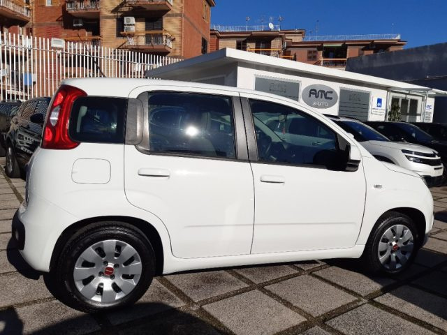 FIAT Panda 1.2 Lounge Immagine 2