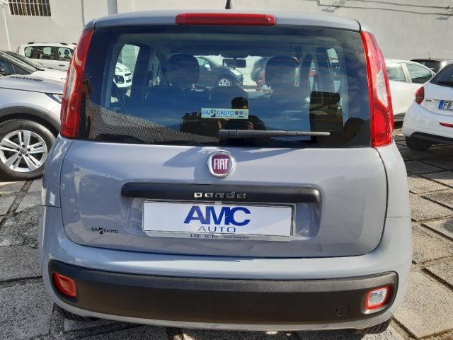 FIAT Panda 1.2 Pop Immagine 3