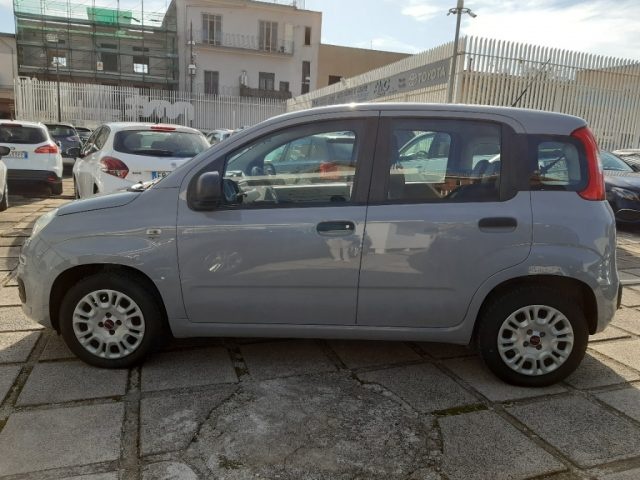 FIAT Panda 1.2 Pop Immagine 1