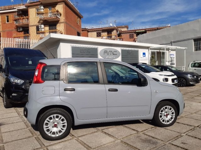 FIAT Panda 1.2 Pop Immagine 2