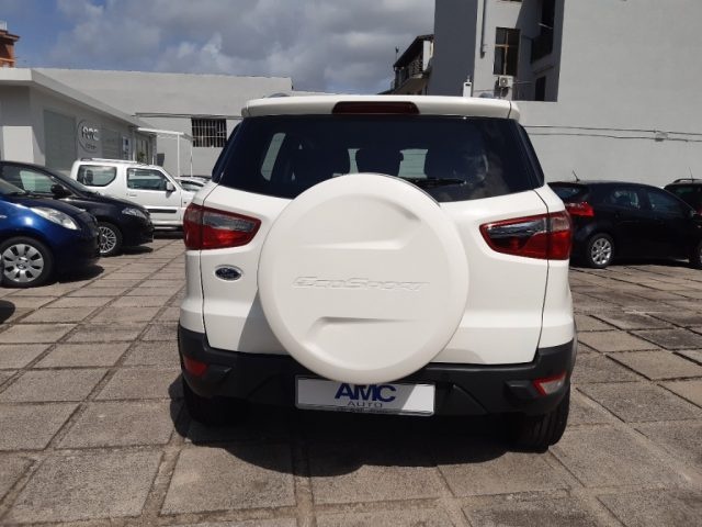 FORD EcoSport 1.5 TDCi 90 CV Plus Immagine 3