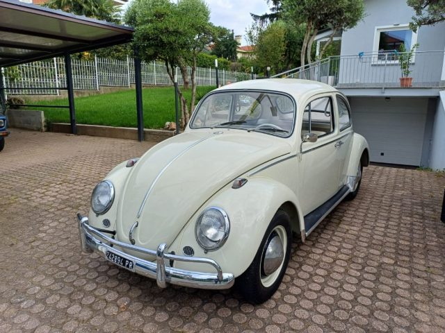 VOLKSWAGEN Maggiolino 11D113 rest. totale - doc e targhe orig. Immagine 0