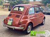 FIAT 500 L I serie (110 F/L Berlina 500)? restauro completo