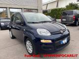 FIAT Panda 1.0 FireFly S&S Hybrid NEOPATENTATI