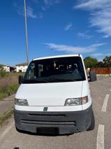 FIAT Ducato DUCATO