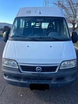 FIAT Ducato ducato