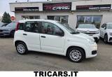 FIAT Panda 1.3 MJT NEOPATENTATI PERMUTE EURO 6