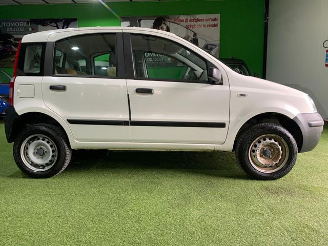 FIAT Panda 1.2 4x4 Immagine 3