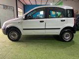 FIAT Panda 1.2 4x4