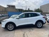 FORD Kuga 1.5 EcoBlue 120 CV aut. 2WD ST-Line