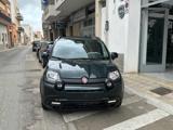 FIAT Panda 1.0 FireFly S&S Hybrid Pandina