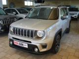 JEEP Renegade Navi. Limited