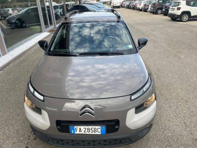 CITROEN C4 Cactus BlueHDi 100 S&S Shine Immagine 4