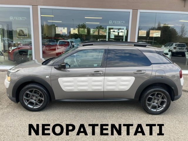 CITROEN C4 Cactus BlueHDi 100 S&S Shine Immagine 0