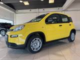 FIAT Panda 1.0 FireFly S&S Hybrid Pandina MY 24 PREZZO REALE