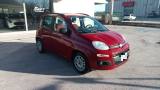 FIAT Panda 1.2 EasyPower Easy GPL civitanova m.