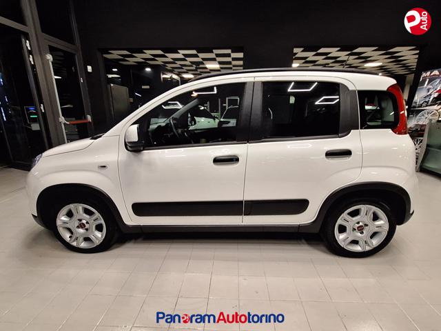 FIAT Panda 1.0 FireFly S&S Hybrid City Life Immagine 3