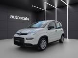 FIAT Panda 1.0 FireFly S&S Hybrid Pandina