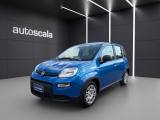 FIAT Panda 1.0 FireFly S&S Hybrid Pandina