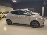 LANCIA Ypsilon 1.2 69 CV 5 porte GPL Ecochic Platinum