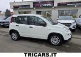 FIAT Panda 1.0 FireFly S&S Hybrid NEOPATENTATI PERMUTE