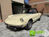 ALFA ROMEO Spider 1.3 Junior Osso di Seppia  ASI TARGA ORO