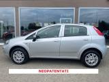 FIAT Punto 1.4 8V 5 porte Natural Power Lounge