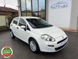 FIAT Punto 1.2 8V 5 porte Street - PER NEOPATENTATI -