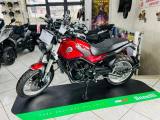 BENELLI Leoncino 500 LEONCINO 500 TRAIL  - NUOVO MODELLO 2024