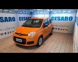 FIAT New Panda 1.2 69cv Easy s&s