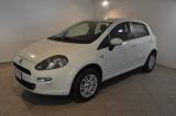 FIAT Punto 1.4 8V 5 porte Natural Power Easy