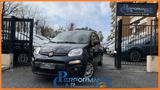 FIAT Panda 1.0 FIREFLY  70 CV S&S HYBRID *FENDINEBBIA*