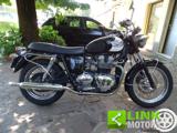 TRIUMPH Bonneville T100 Black/White