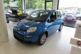 FIAT Panda 1.0 FireFly 70cv Hybrid KM.ZERO