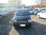 FIAT Panda 1.2 Classic