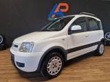 FIAT Panda 1.4 Climbing Natural Power