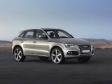 AUDI Q5 2.0 TDI 150 CV quattro Advanced Plus