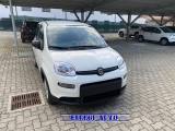 FIAT Panda PROMO FIN. 1.0 FireFly S&S Hybrid MY 23 KM  0