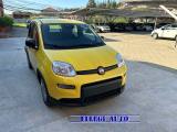 FIAT Panda PANDINA 1.0  Hybrid  KM  0