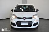 FIAT Panda 1.0 FireFly S&S Hybrid - Ok Neopatentati