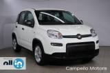 FIAT Panda Panda 1.0 70cv Hybrid Panda My23