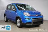 FIAT Panda Panda 1.0 70cv Hybrid Panda