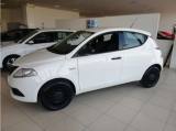 LANCIA Ypsilon 1.2 69 CV 5 porte Elefantino Blu