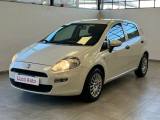 FIAT Punto 1.2 8V 5p. Street *OK NEOPATENTATI*