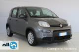 FIAT Panda Panda 1.0 70cv Hybrid Panda