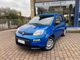 FIAT Panda 1.0 FireFly S&S Hybrid - KM0